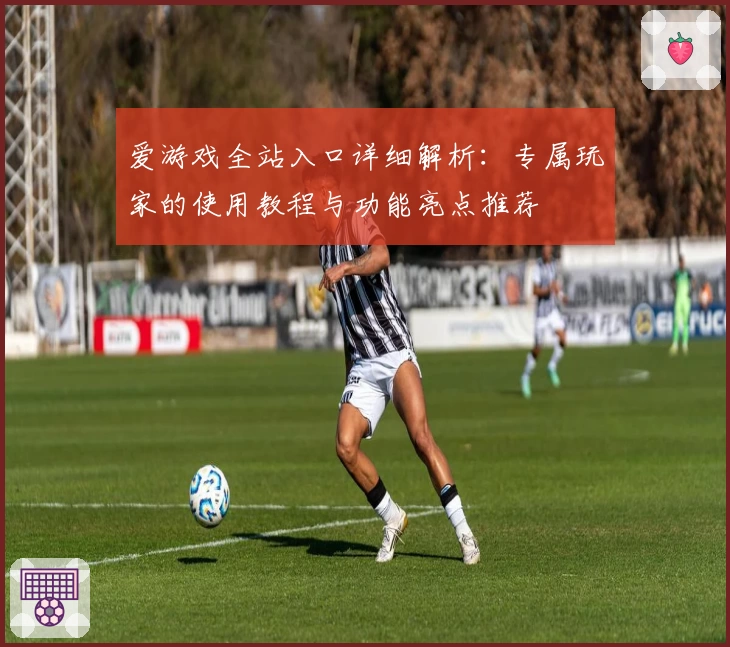 爱游戏全站入口详细解析：专属玩家的使用教程与功能亮点推荐